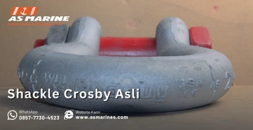 Shackle Crosby Asli